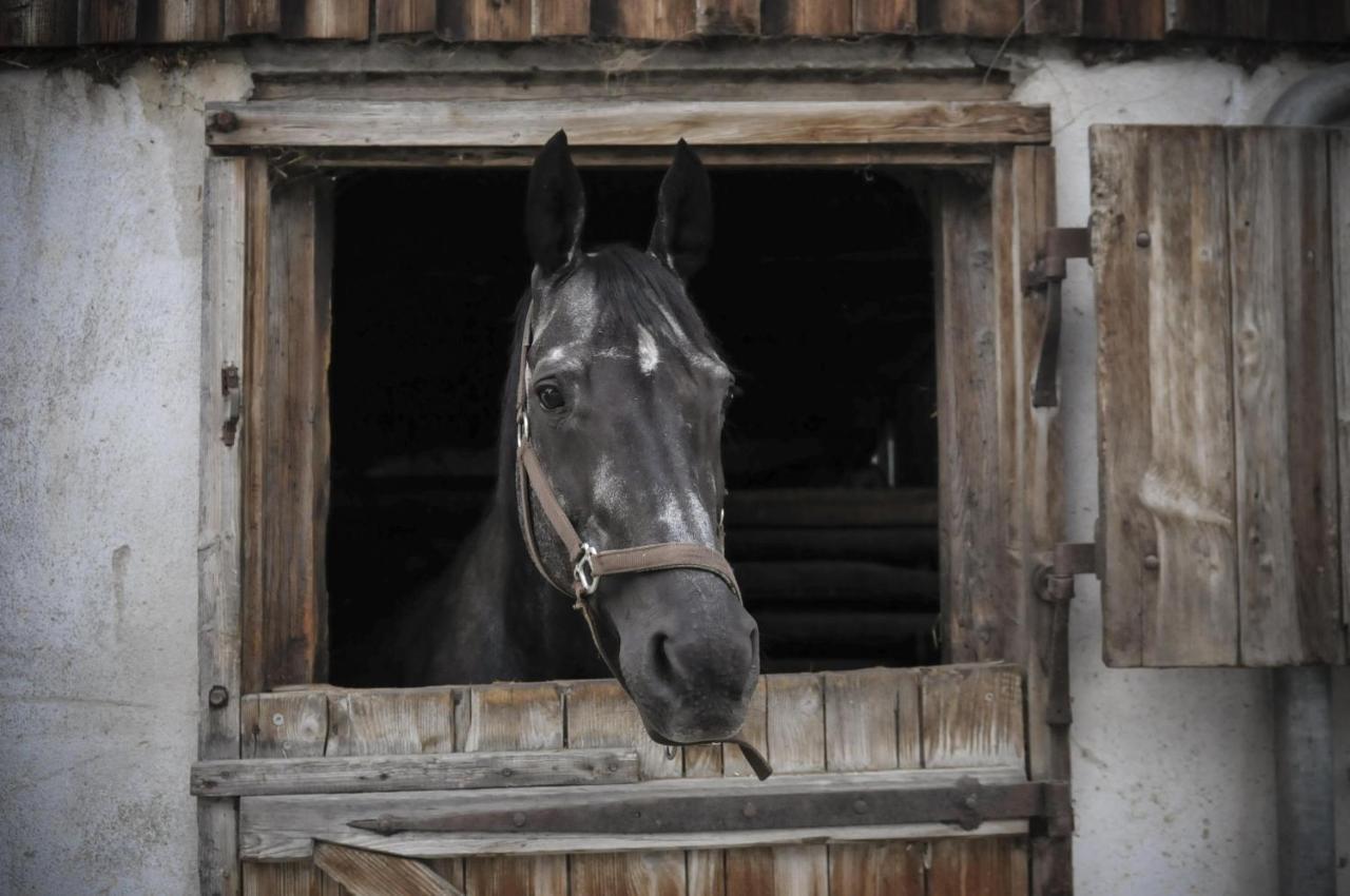 Ferienhof Metzler Bodnegg Luaran gambar