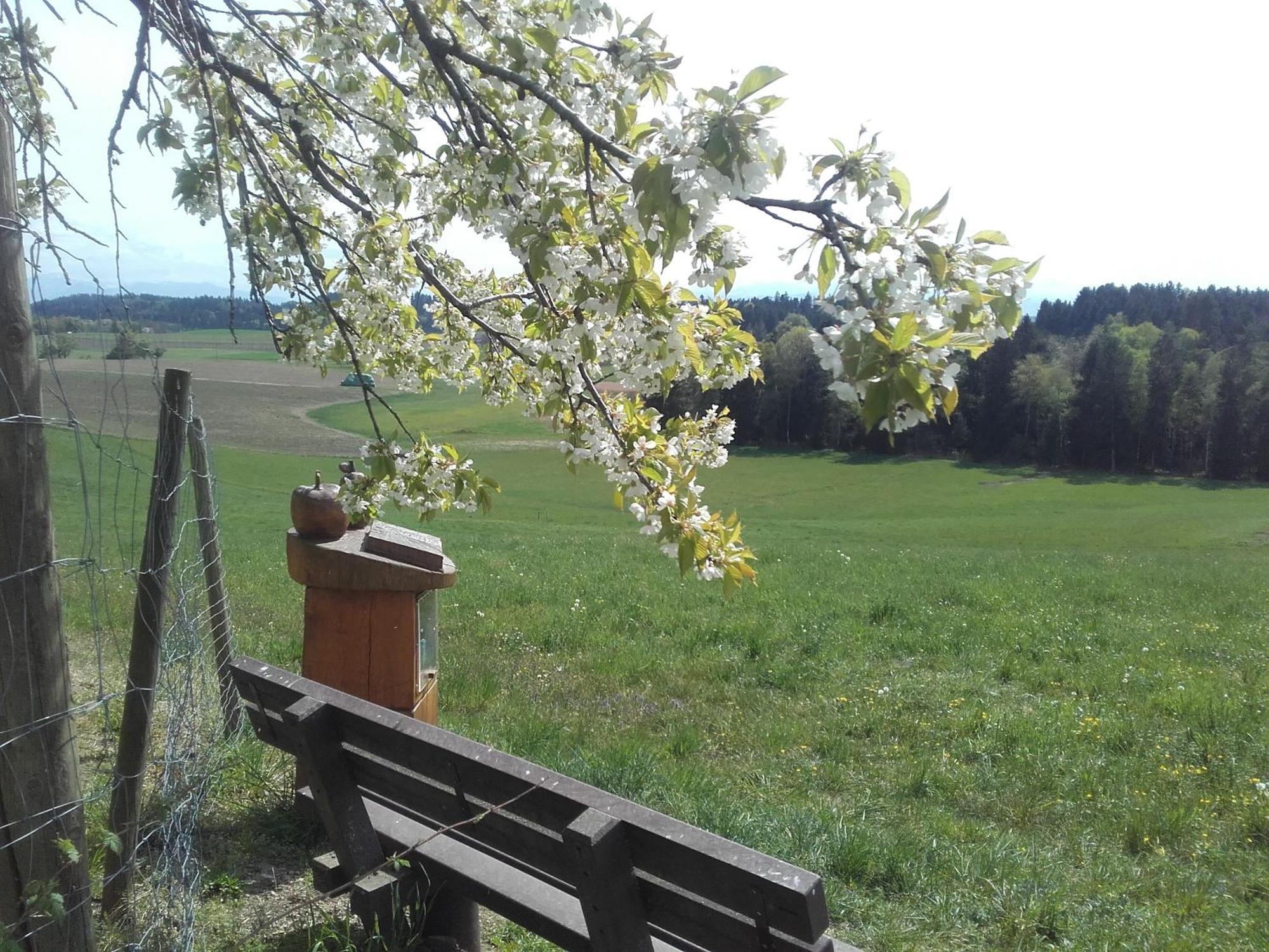 Ferienhof Metzler Bodnegg Luaran gambar