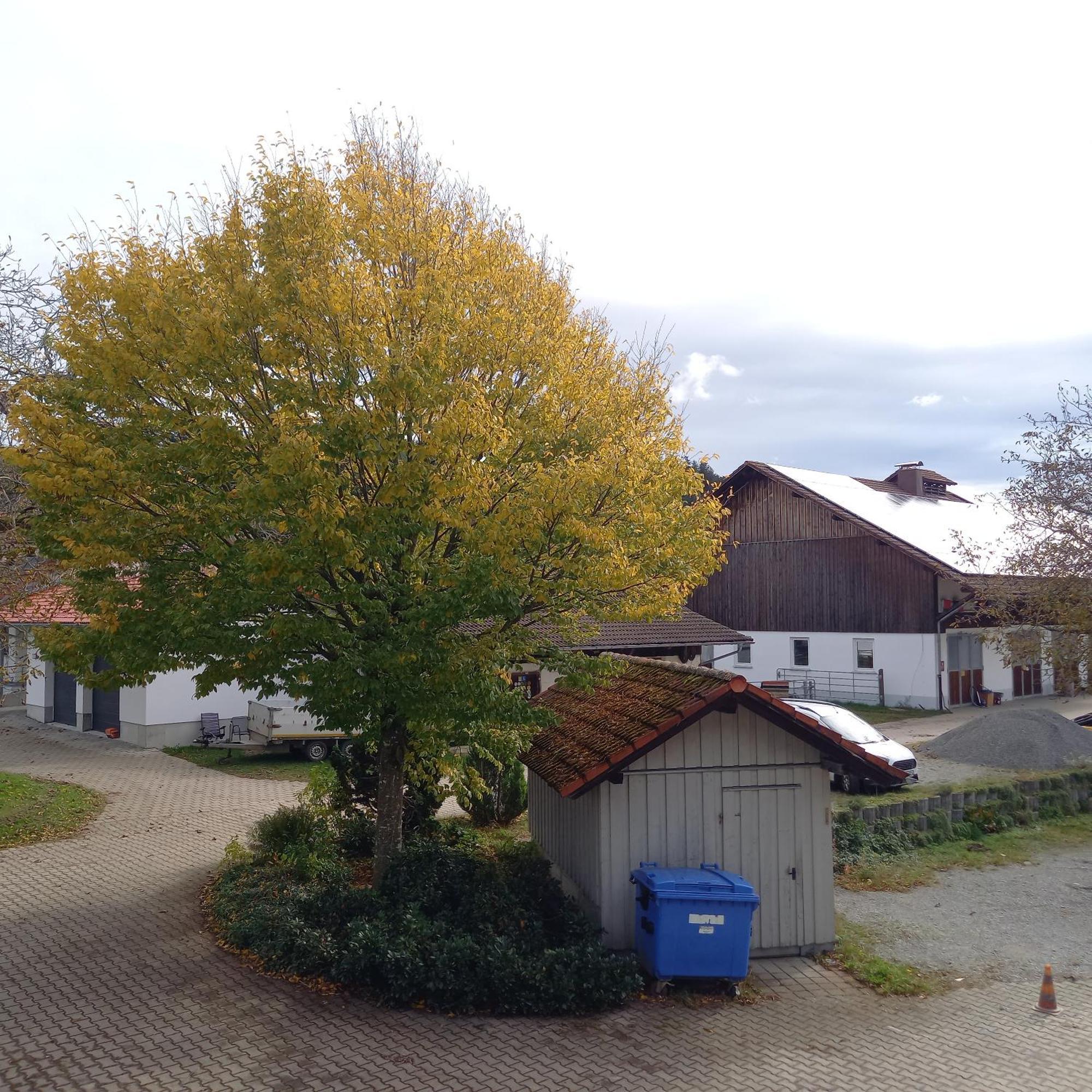 Ferienhof Metzler Bodnegg Luaran gambar