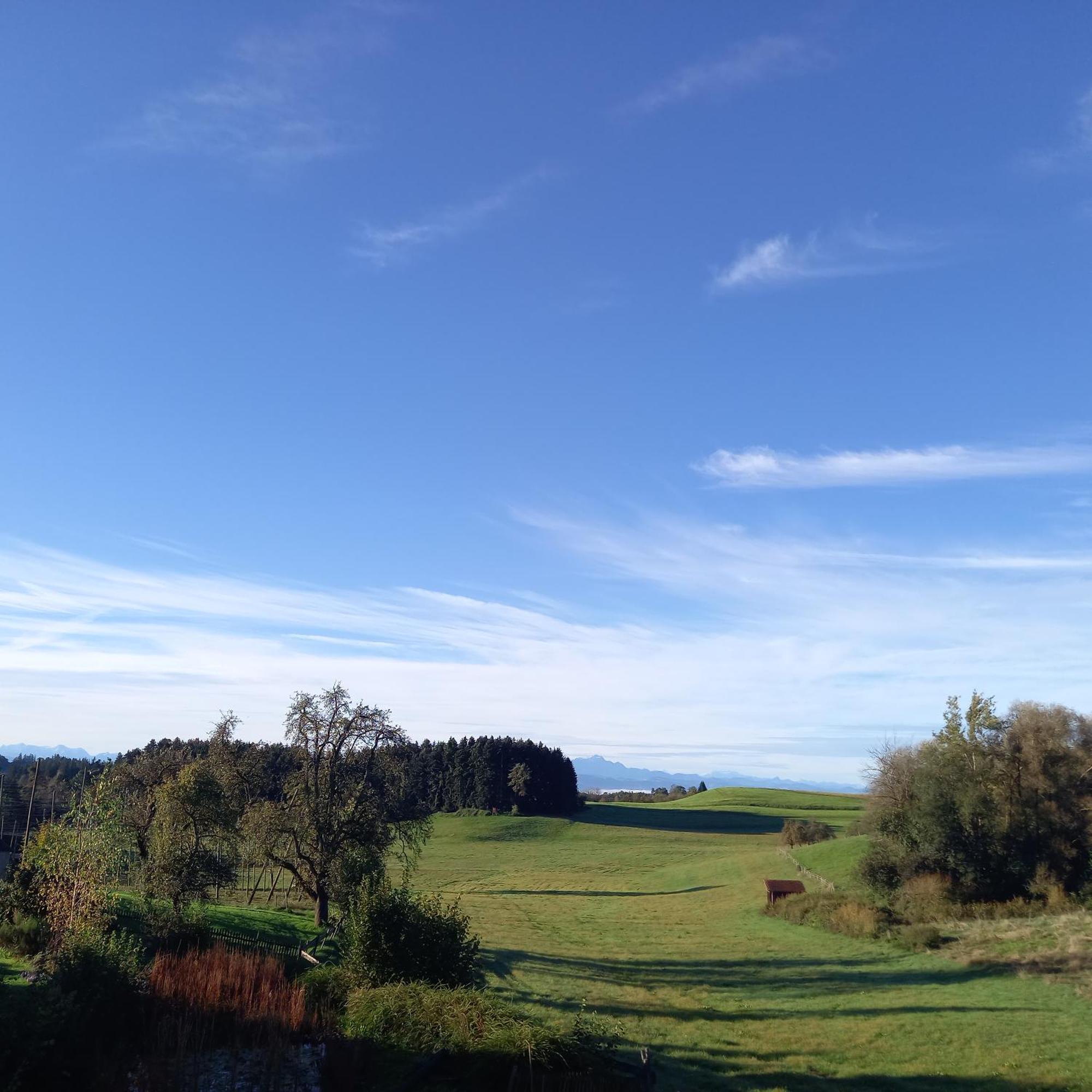Ferienhof Metzler Bodnegg Luaran gambar